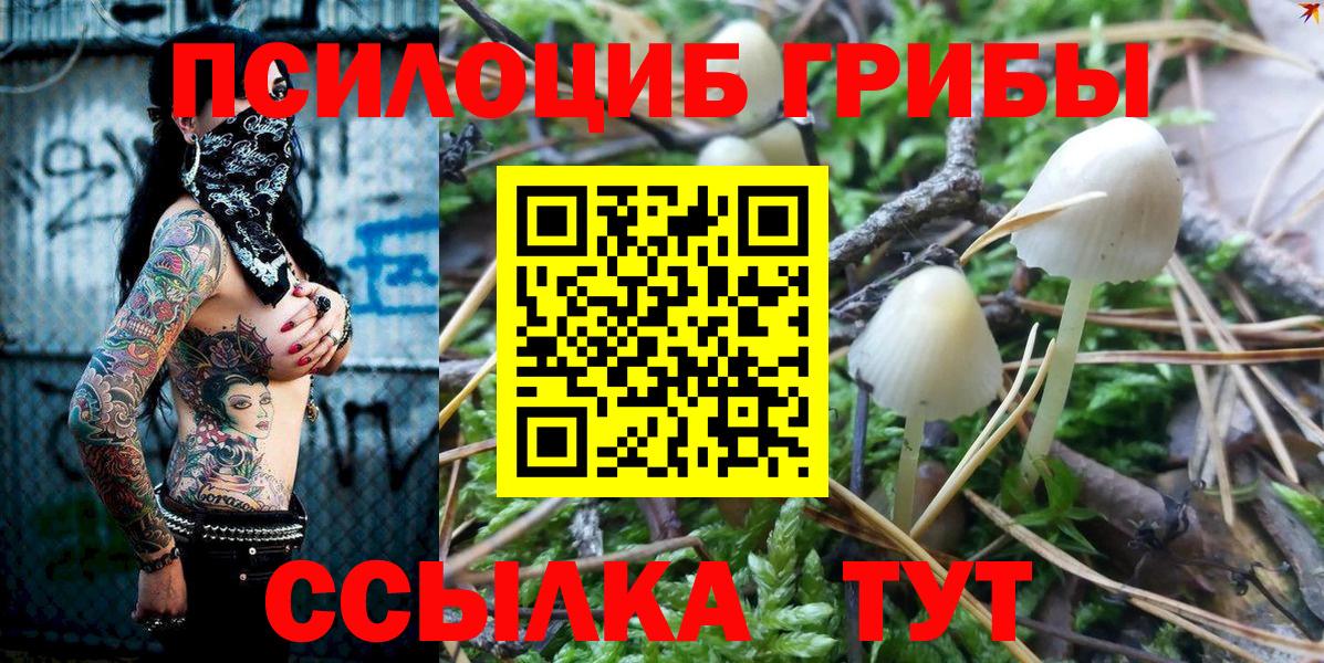 Галлюциногенные грибы Psilocybe Дедовск